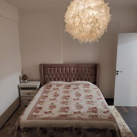 The Unique Apartment Roşu Extérieur photo