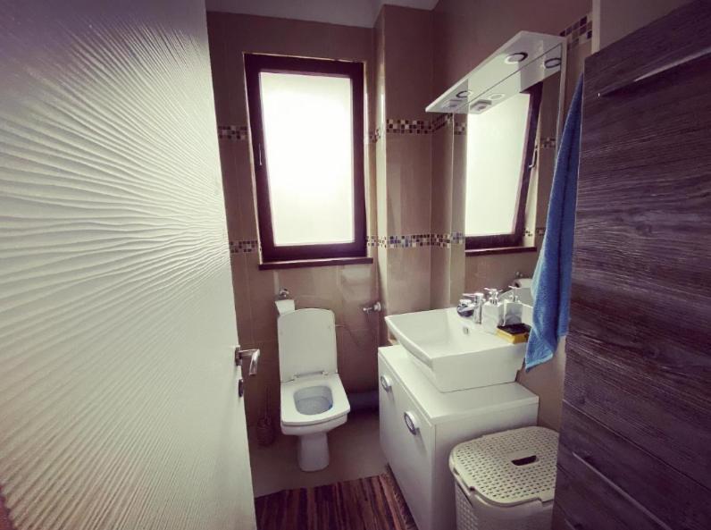 The Unique Apartment Roşu Extérieur photo