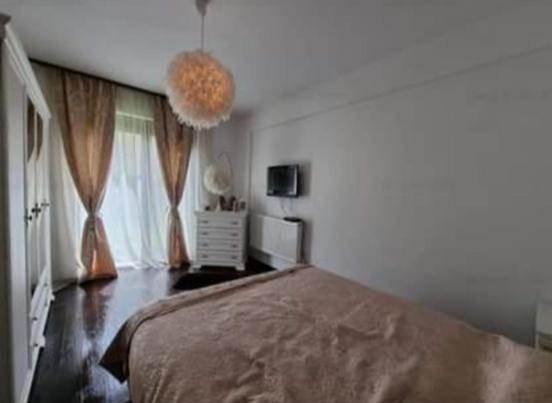 The Unique Apartment Roşu Extérieur photo