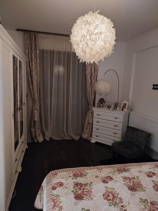 The Unique Apartment Roşu Extérieur photo