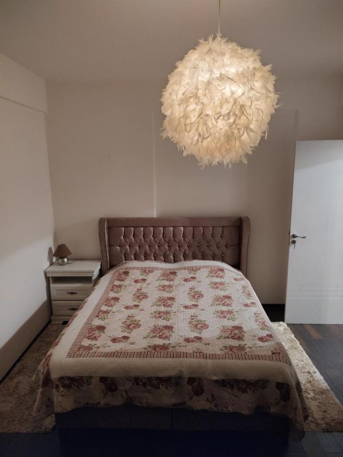 The Unique Apartment Roşu Extérieur photo