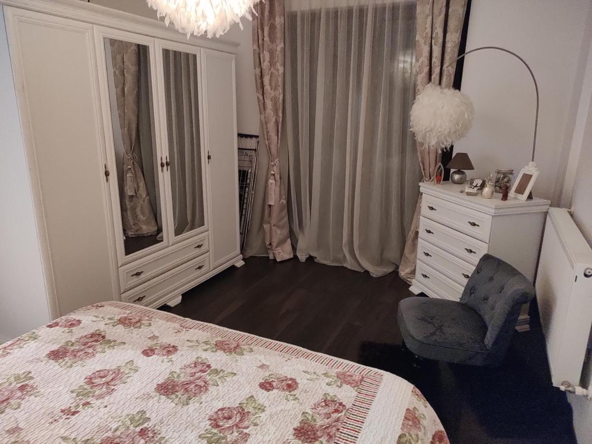 The Unique Apartment Roşu Extérieur photo