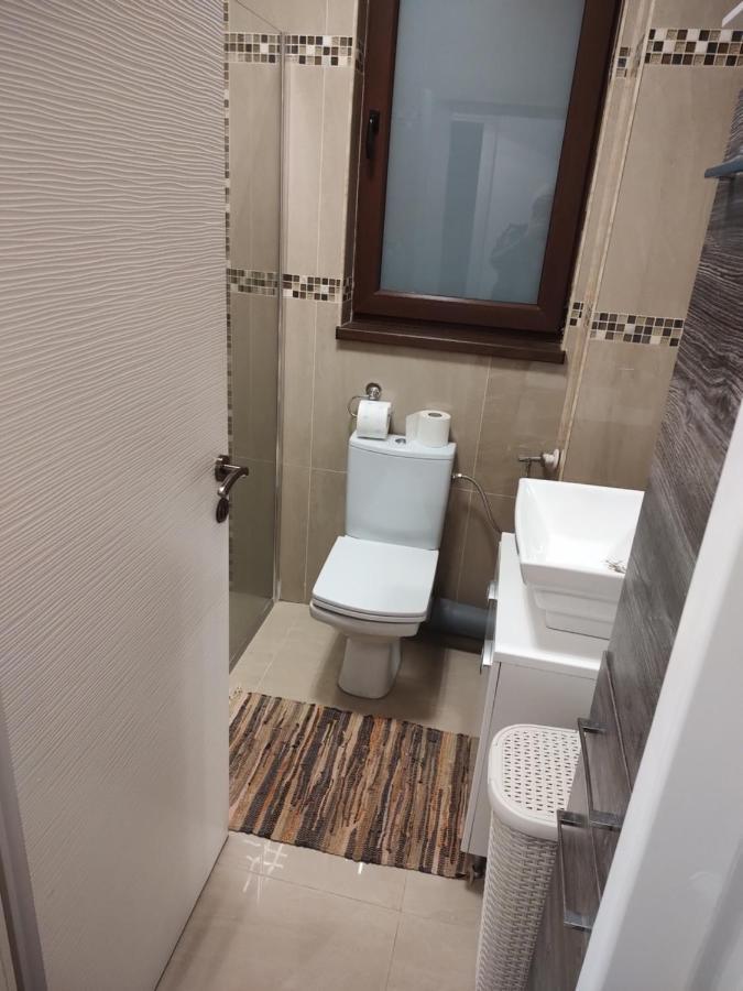 The Unique Apartment Roşu Extérieur photo